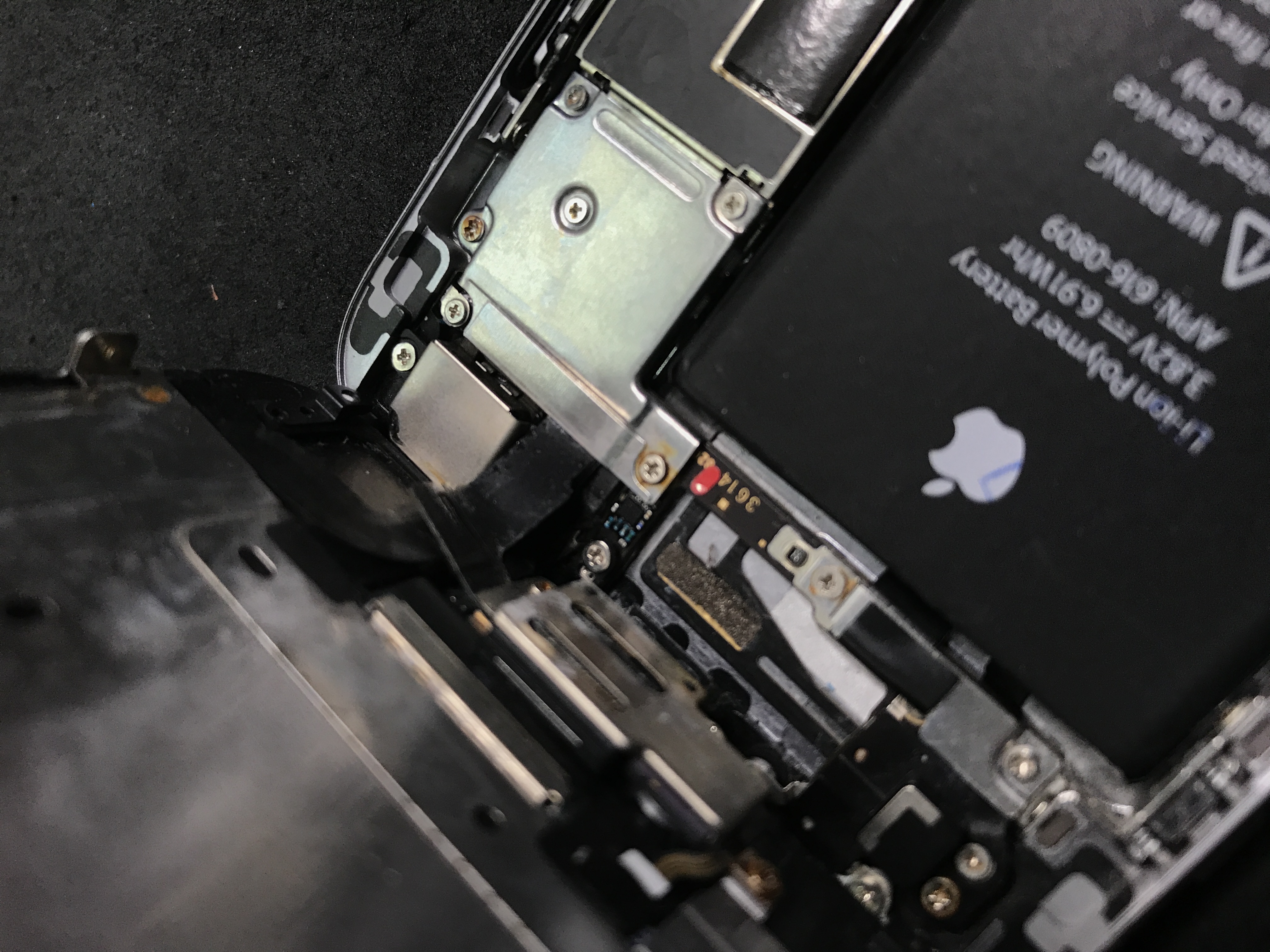 2017年 夏 始まりましたね