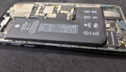 PXL_20210202_050236787