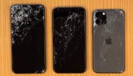 ダウンロード (7)