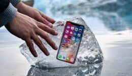 ダウンロード (11)