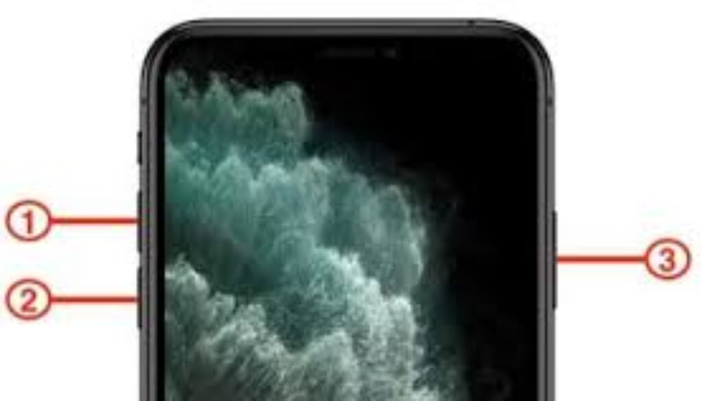 ダウンロード (6)