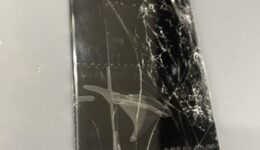 S__12435557