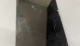 S__12476533