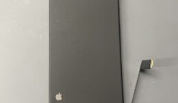 S__13746200