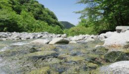 レジャーの夏、水没にご注意を|スマフォドクター梅田店|